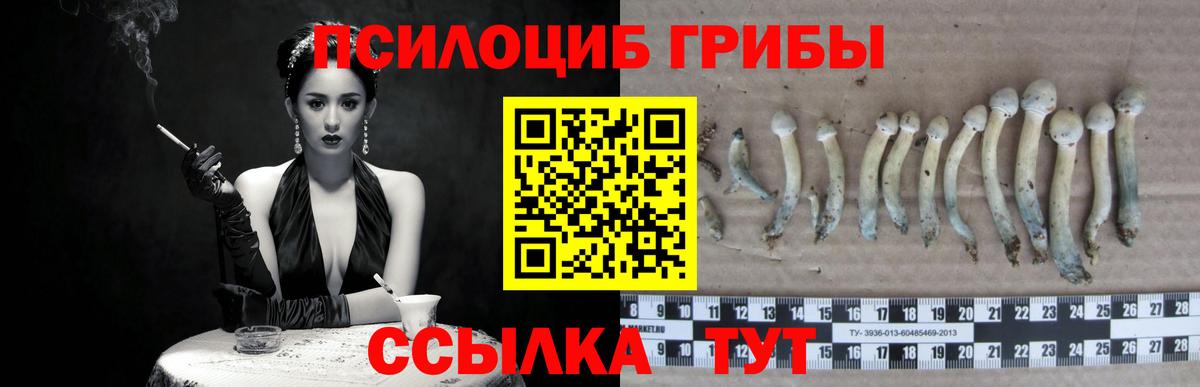 Псилоцибиновые грибы мицелий  Вход с VPN  Абинск 